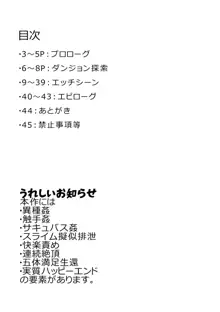 アマミヤ・コヨミ VS エロトラップダンジョン, 日本語