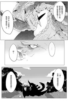 Seregios and Rathian | 千刃龙和雌火龙, 中文