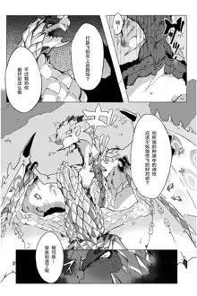 Seregios and Rathian | 千刃龙和雌火龙, 中文