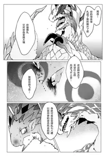 Seregios and Rathian | 千刃龙和雌火龙, 中文