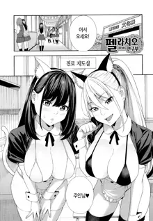 Fellatio Kenkyuubu - Fellatio Research Department | 펠라치오 연구부, 한국어