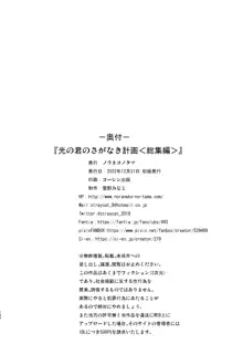 光の君のさがなき計画 <総集編>, 日本語