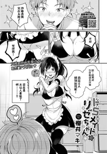 Do S Maid Rize-chan, 中文