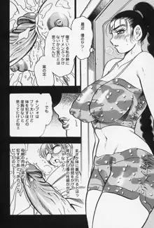 淑女の性癖, 日本語