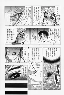 淑女の性癖, 日本語