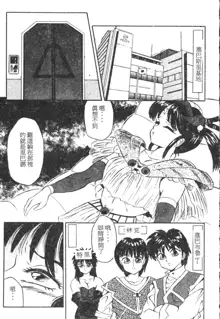 Tonari no Purin Shoujo, 中文