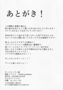 夢の中で逆バニートライステラとエッチする本, 日本語