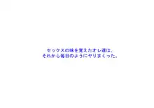 住人の頼みごとを聞き続けてたら部屋が託児所になってた, 日本語