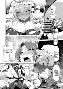 Taimamiko Yorihime 2 Shikiyoku Honryuu | 대마무녀 요리히메2 색욕급류, 한국어