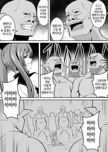 Shuudou Kishi Cecilia ~Marunomi Maryouku Chuunyuu~ | 수도기사 세실리아 ~통째로 삼키기 마력주입~, 한국어