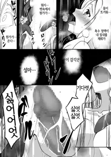 Shuudou Kishi Cecilia ~Marunomi Maryouku Chuunyuu~ | 수도기사 세실리아 ~통째로 삼키기 마력주입~, 한국어