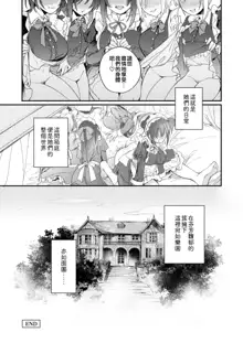 DereMas Moe Moe Maid-san Youkan Harem Gainen, 中文