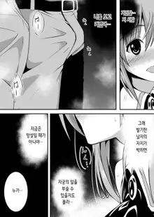 Rankou Tenshi Lumiere ~Majuu no Tamago o Haramasare Mishiranu Otoko-tachi ni Rinkan sareta Shoujo no Matsuro~ | 난광천사 류미엘 ~마수의 알을 낳아 모르는 남자들에게 윤간 당하는 소녀의 말로~, 한국어