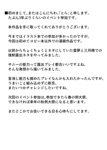 霊夢さんと遊ぼう!!, 日本語