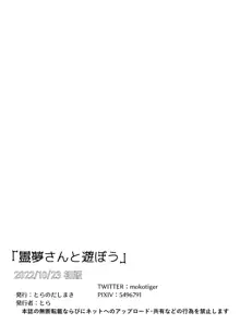 霊夢さんと遊ぼう!!, 日本語