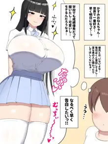 ぼくの好きなおねえちゃんは…, 日本語