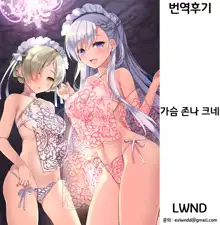 Zettaiteki Maid Kanri | 절대적 메이드 관리, 한국어