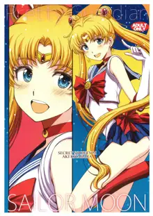 Pretty Guardian SAILORMOON, 日本語