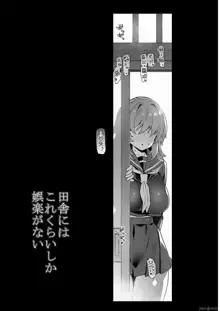 田舎にはこれくらいしか娯楽がない（1-3）, 中文