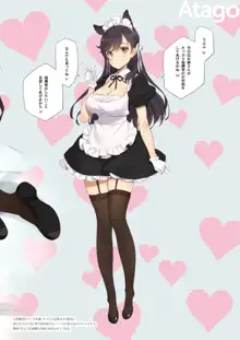 MAID SHIP COMPLEX 9人の嫁メイド艦と日替わりセックス♥する本, 日本語