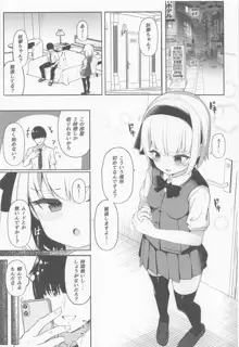 ハメ撮り妖夢ちゃん, 日本語