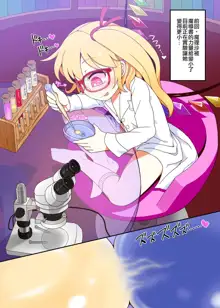 Micro Marisa to Flan Chan no Shukushou Ijime, 中文