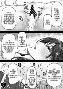 YUMENO CRISIS ~Itsuka Kuru Natsu no Owari~, 한국어