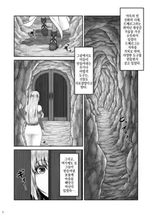 BRISINGAMEN ~Honou no Kubikazari~ ｜ BRISINGAMEN ~불꽃의 목걸이~, 한국어