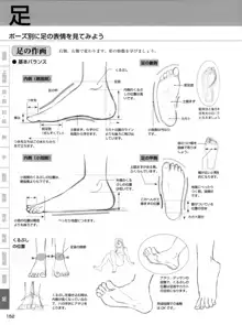 セクシーなキャラクターの描き方, 日本語