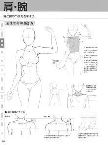 セクシーなキャラクターの描き方, 日本語