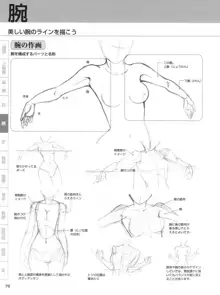 セクシーなキャラクターの描き方, 日本語