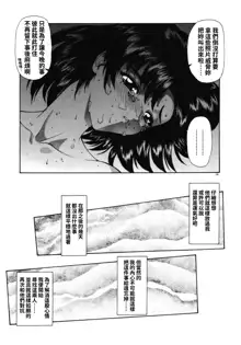 Haitoku no Kanata Ch. 9-11, 中文