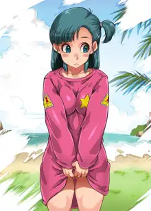 bulma niaxs!, 日本語