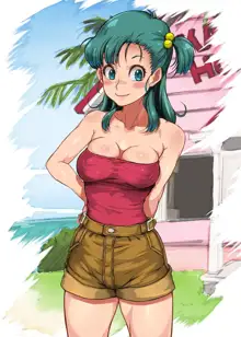 bulma niaxs!, 日本語