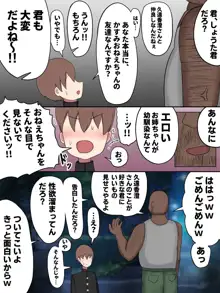 ぼくの好きなおねえちゃんは…, 日本語