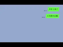 彼女が堕ちるまで, 日本語