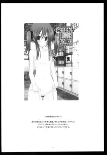 Exhibitionist Girl Diary Collection, English