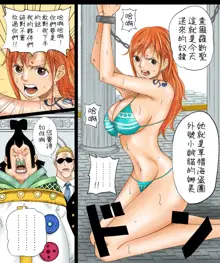 Nami-san Manga, 中文