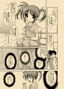 ユーノ×なのは漫画二連発, 日本語