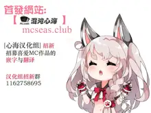 Jouhou Kaihen Lolicon Oji-san 3, 中文