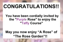 The Rose Garden, English