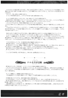 聖なるかな オフィシャル設定資料集, 日本語