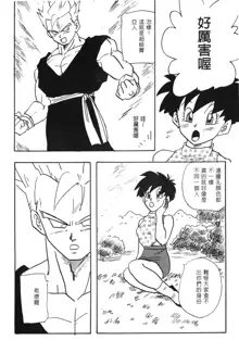 ドラゴンパール 02, 中文