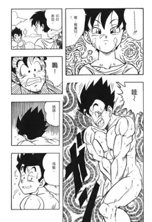 ドラゴンパール 03, 中文