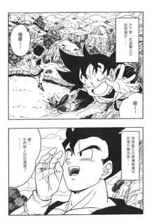 ドラゴンパール 03, 中文