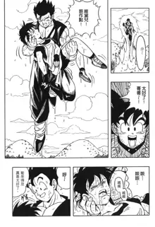 ドラゴンパール 03, 中文