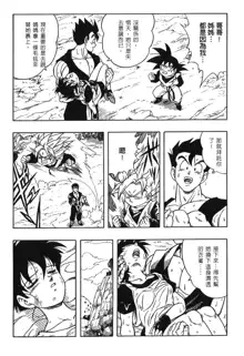 ドラゴンパール 03, 中文