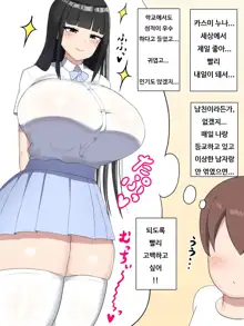 Boku no Suki na Onee-chan wa... | 내가 좋아하는 누나는..., 한국어