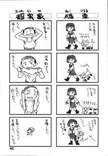 整列！！ひよこリーダー, 日本語