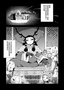 Isekai Kyaradain ni Okeru Succubus no Shuugeki, 中文